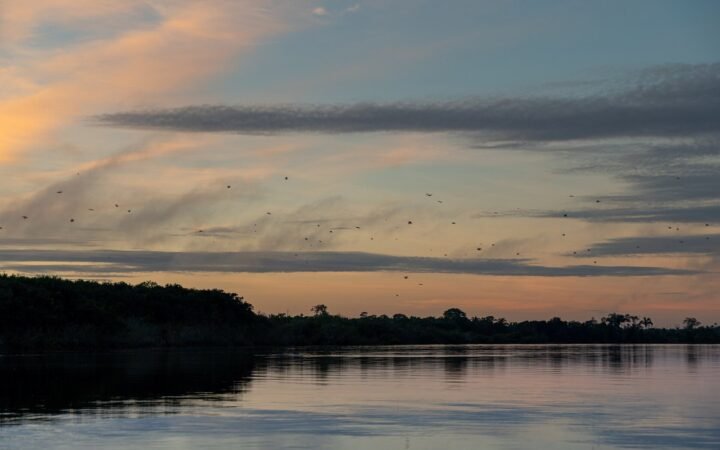 Sunset at Amazon rainforest, Brazil