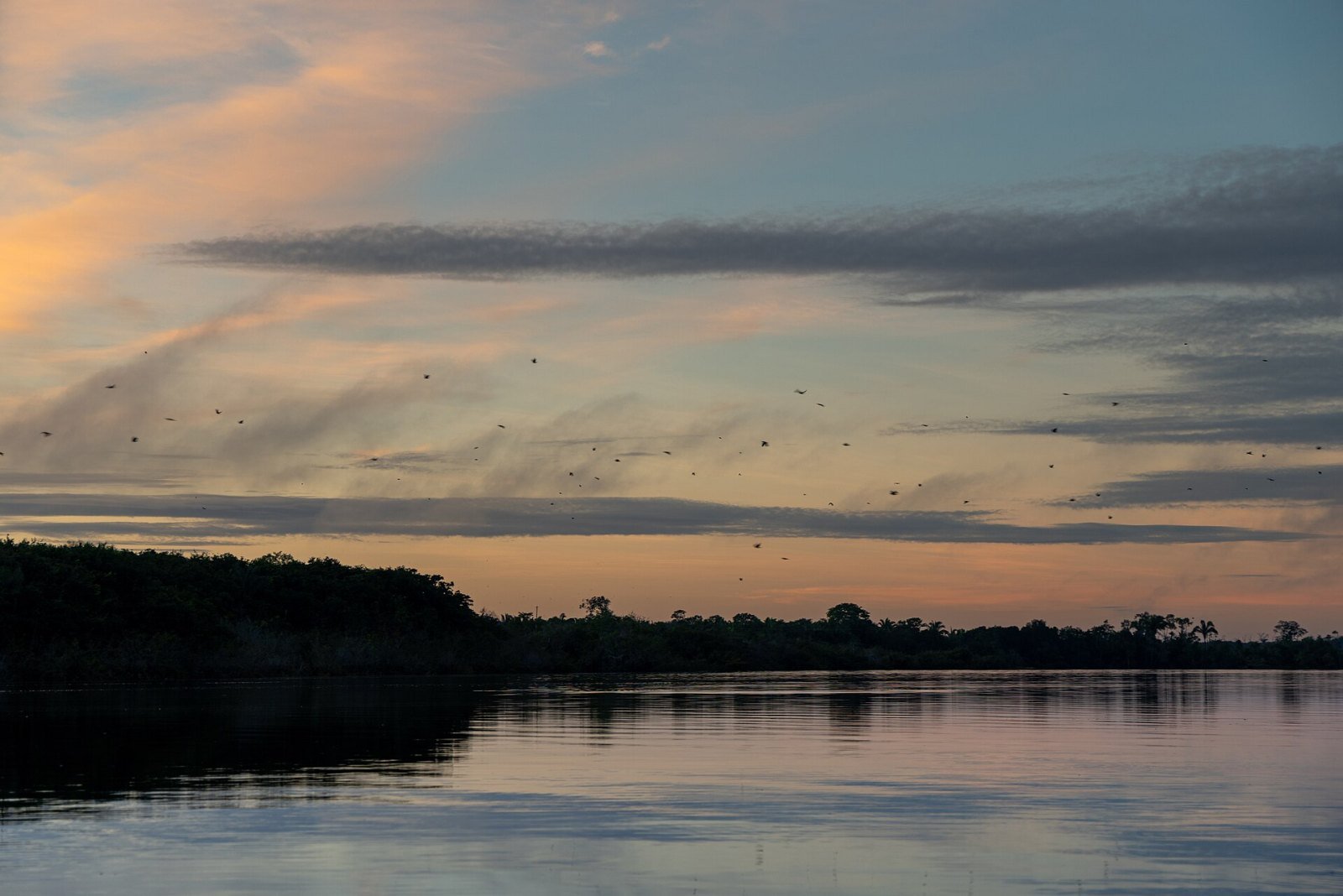 Sunset at Amazon rainforest, Brazil