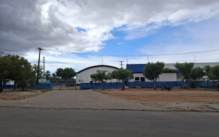 Suzano S.A.