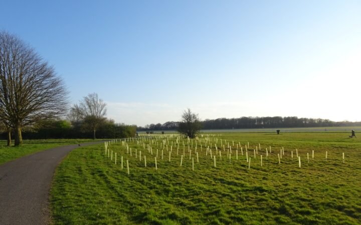 Conselho de West Northamptonshire aprova plano para recuperar a natureza