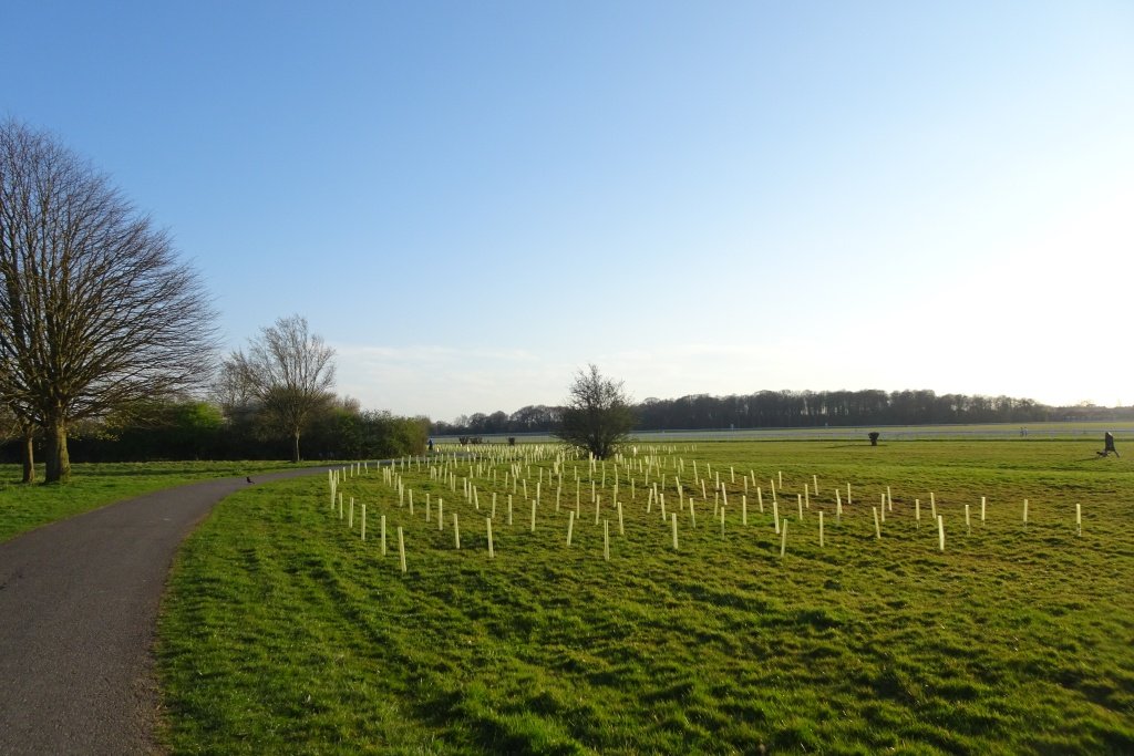 Conselho de West Northamptonshire aprova plano para recuperar a natureza