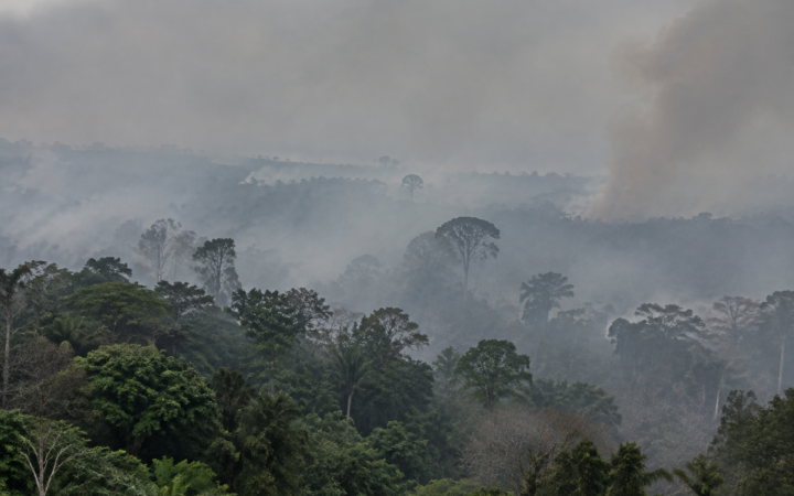 Fumaça de incêndios na Indonésia provoca 175 mil casos respiratórios מאז agosto