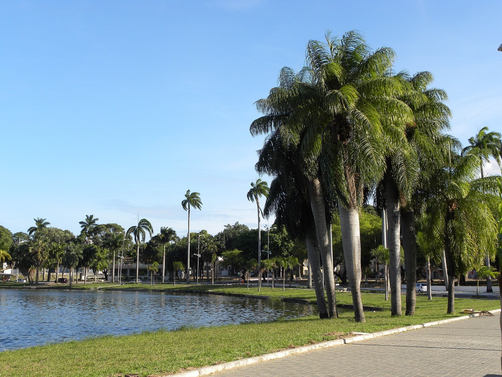 Parque Sólon de Lucena
