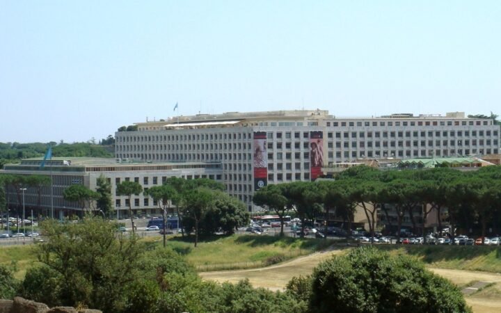 Food and Agriculture Organization