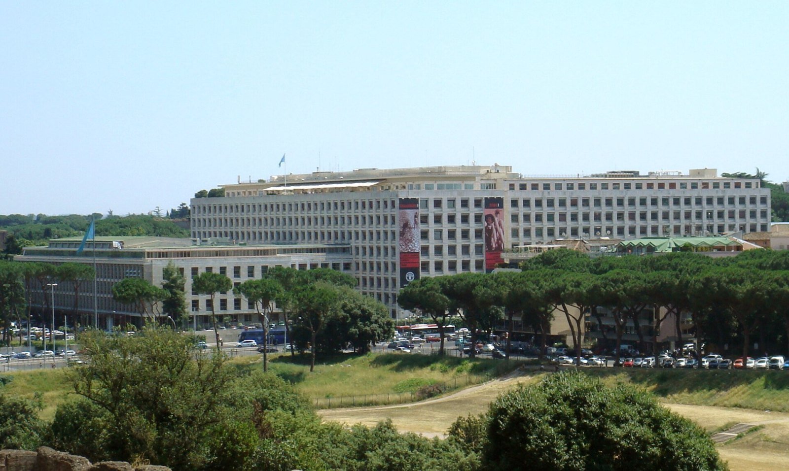 Food and Agriculture Organization