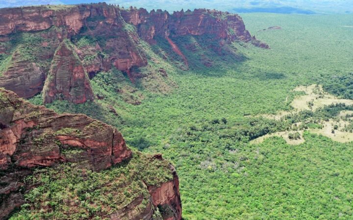 Mato Grosso