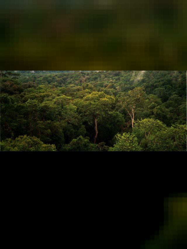 Estudo identifica centenas de construções monumentais na Amazônia